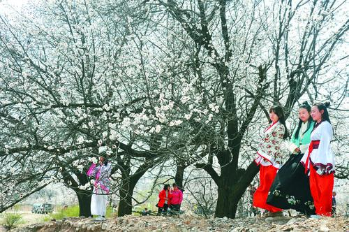 维多利亚vic866 智能品牌形象